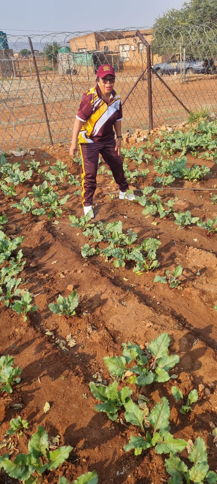 Staff member tending to school garden